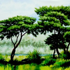 양평솔 숲